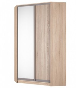 Угловой шкаф Аларти (YA-230х1250(602) (2) Вар. 3; двери D5+D6), с зеркалом в Тамбове