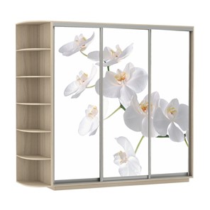 Шкаф 3-створчатый Е1 Экспресс со стеллажом, 2100х600х2200, Орхидея белая/шимо светлый в Тамбове