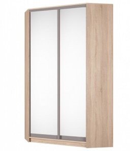 Шкаф угловой Аларти (YA-230х1250(602) (2) Вар. 2; двери D5+D5), с зеркалом в Тамбове