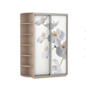 Шкаф 2-створчатый Экспресс 1700x600x2200, со стеллажом, Орхидея белая/дуб молочный в Тамбове