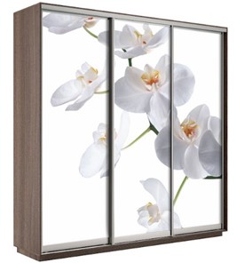 Шкаф 3-х дверный Экспресс 2100х600х2200, Орхидея белая/шимо темный в Тамбове