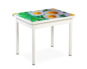 Кухонный пристенный стол СПА-01 СТФ, белый/фотопечать ромашки/опоры прямые белые в Тамбове