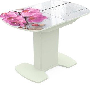 Кухонный раскладной стол Корсика исп. 1 Фотопечать (Цветы №24) 1100(1415)*700 в Тамбове
