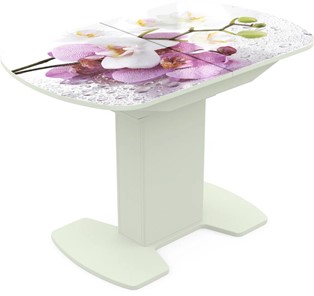 Кухонный раскладной стол Корсика исп. 1 Фотопечать (Цветы №44) 1100(1415)*700 в Тамбове