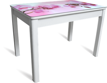 Кухонный раздвижной стол Айсберг мини СТФ, белое лдсп/орхидея/40 прямые массив белые в Тамбове