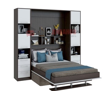 Кровать-шкаф с диваном DetalMaster Бела 1, с полкой ножкой, 1200х2000, венге/белый в Тамбове