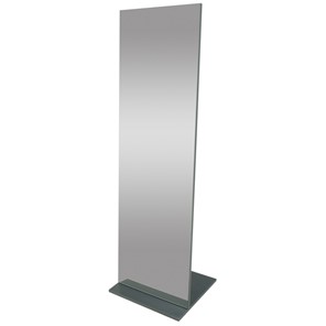 Зеркало напольное в полный рост Стелла (графит темный) 163,5 см x 50 см в Тамбове