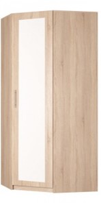 Угловой шкаф распашной Реал (YR-230х1034 (3)-М Вар.1), с зеркалом в Тамбове - предосмотр