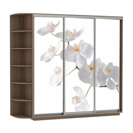 Шкаф 3-х створчатый Экспресс со стеллажом, 2100х600х2200, Орхидея белая/шимо темный в Тамбове - изображение