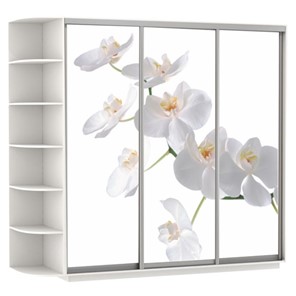 Шкаф Экспресс со стеллажом, 2400х600х2200, Орхидея белая/белый снег в Тамбове