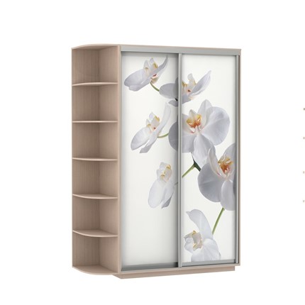 Шкаф 2-створчатый Экспресс 1700x600x2200, со стеллажом, Орхидея белая/дуб молочный в Тамбове - изображение
