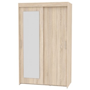Шкаф 2-х дверный Топ (T-1-230х120х45 (3)-М; Вар.4), с зеркалом в Тамбове