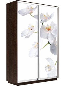 Шкаф 2-дверный Экспресс 1400x600x2400, Орхидея белая/венге в Тамбове