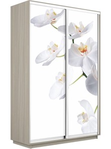 Шкаф Экспресс 1600x450x2200, Орхидея белая/шимо светлый в Тамбове
