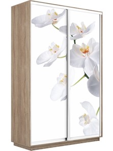 Шкаф 2-дверный Экспресс 1600x450x2400, Орхидея белая/дуб сонома в Тамбове