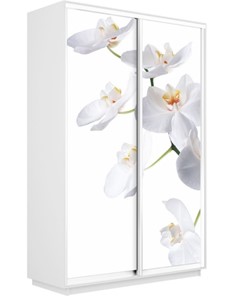 Шкаф-купе Экспресс 1600x600x2200, Орхидея белая/белый снег в Тамбове