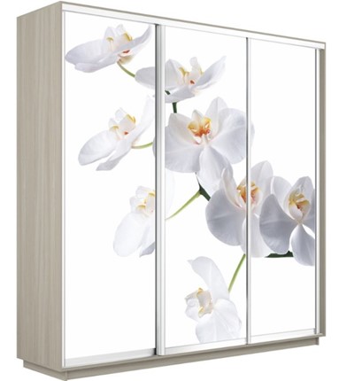 Шкаф Экспресс 1800х600х2200, Орхидея белая/шимо светлый в Тамбове - изображение