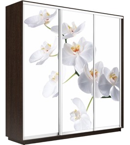 Шкаф 3-х створчатый Экспресс 2100х450х2200, Орхидея белая/венге в Тамбове