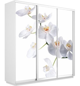Шкаф 3-створчатый Экспресс 2100х450х2400, Орхидея белая/белый снег в Тамбове