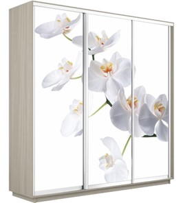 Шкаф 3-дверный Экспресс 2100х600х2200, Орхидея белая/шимо светлый в Тамбове