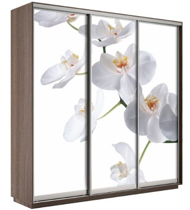 Шкаф 3-х дверный Экспресс 2100х600х2200, Орхидея белая/шимо темный в Тамбове - изображение