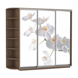 Шкаф 3-дверный Экспресс со стеллажом, 2400х600х2200, Орхидея белая/шимо темный в Тамбове