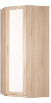 Шкаф распашной угловой Реал (YR-230х1034 (3)-М Вар.4), с зеркалом в Тамбове - изображение