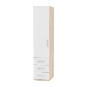 Распашной шкаф Риал (H19) 198х45х45 ручка рейлинг, Белый/ДСС в Тамбове