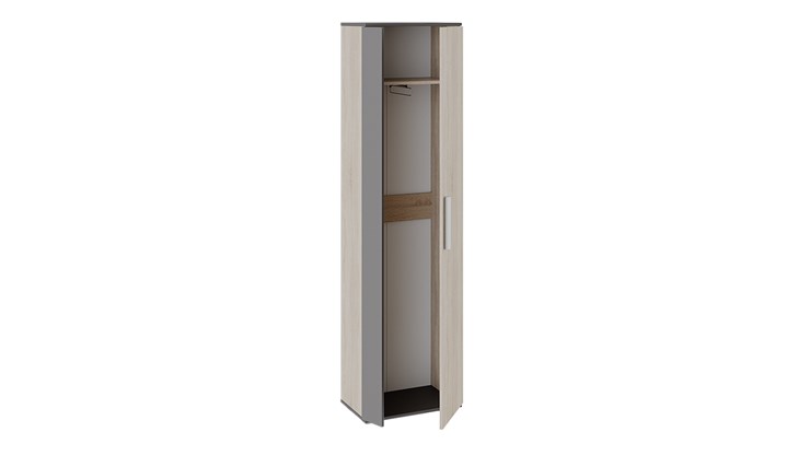 Шкаф двухдверный Нуар (Фон серый/Дуб сонома) в Тамбове - изображение 1