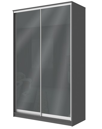 Шкаф-купе 2-х створчатый Хит-22-4-12/2-22 с цветным стеклом, темно-серый 073, Графит в Тамбове - изображение