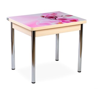 Кухонный пристенный стол СПА-02 СТФ, молочный дуб/фотопечать орхидея/опоры хром в Тамбове