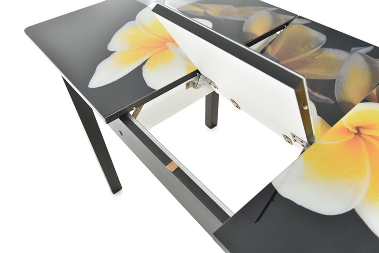 Кухонный раздвижной стол Гамбург исп.1 ноги метал. крашеные №23, Фотопечать (Цветы №11) в Тамбове - изображение 5