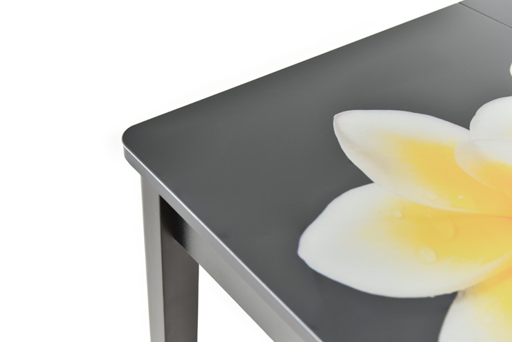 Кухонный раздвижной стол Гамбург исп.1 ноги метал. крашеные №23, Фотопечать (Цветы №11) в Тамбове - изображение 8