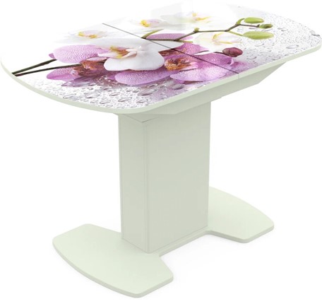 Кухонный раскладной стол Корсика исп. 1 Фотопечать (Цветы №44) 1100(1415)*700 в Тамбове - изображение