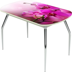 Кухонный раскладной стол Ривьера исп.1 ноги метал. крашеные №24 Фотопечать (Цветы №16) в Тамбове