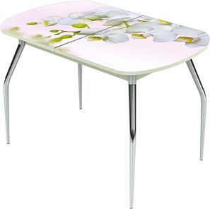 Кухонный раскладной стол Ривьера исп.1 ноги метал. крашеные №24 Фотопечать (Цветы №7) в Тамбове