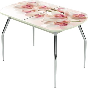 Раздвижной стол Ривьера исп.1 ноги метал. крашеные №24 Фотопечать (Цветы №8) в Тамбове