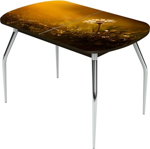 Кухонный раздвижной стол Ривьера исп.2 ноги метал. крашеные №24 Фотопечать (Цветы №43) в Тамбове