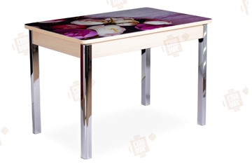 Кухонный стол раскладной Айсберг-01 СТФ, дуб/фотопечать пионы/ноги хром квадратные в Тамбове
