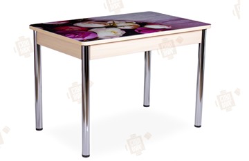 Кухонный стол раскладной Айсберг-01 СТФ, дуб/фотопечать пионы/ноги хром прямые круглые в Тамбове