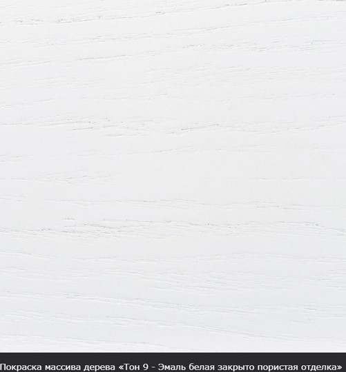 Стол раздвижной Фабрицио-2 исп. Овал 1600, Тон 9 (Морилка/Эмаль) в Тамбове - изображение 15