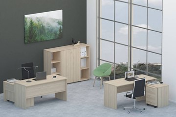 Набор мебели в офис Twin для 2 сотрудников со шкафом для документов в Тамбове - предосмотр