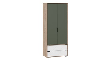 Шкаф для одежды Лео ТД-410.07.22 (Гикори джексон/Белый матовый/Дымчатый зеленый) в Тамбове