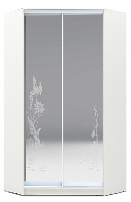 Шкаф-купе 2300х1103, ХИТ У-23-4-66-01, цапля, 2 зеркала, белая шагрень в Тамбове - изображение