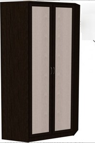 Шкаф 403 несимметричный, цвет Венге в Тамбове - предосмотр