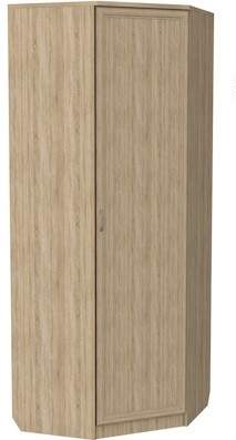 Шкаф распашной 400 угловой, цвет Дуб Сонома в Тамбове - изображение
