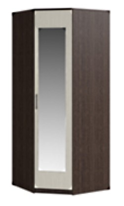 Распашной шкаф угловой Светлана, с зеркалом, венге/дуб молочный в Тамбове - изображение