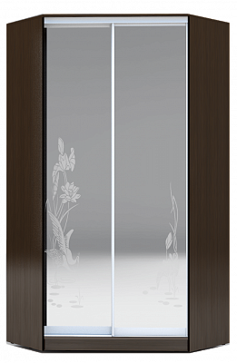 Угловой шкаф-купе 2300х1103, ХИТ У-23-4-66-01, цапля, 2 зеркала, венге аруба в Тамбове - изображение
