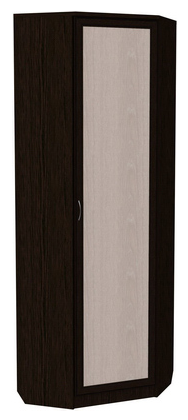 Шкаф 402 угловой со штангой, цвет Венге в Тамбове - изображение