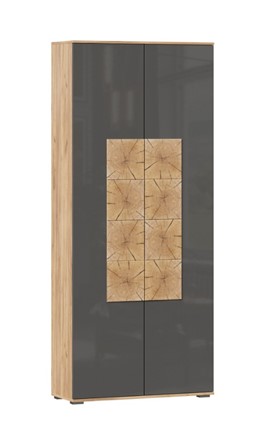 Шкаф двухстворчатый Фиджи с декоративными накладками 659.310, Дуб Золотой/Антрацит в Тамбове - изображение
